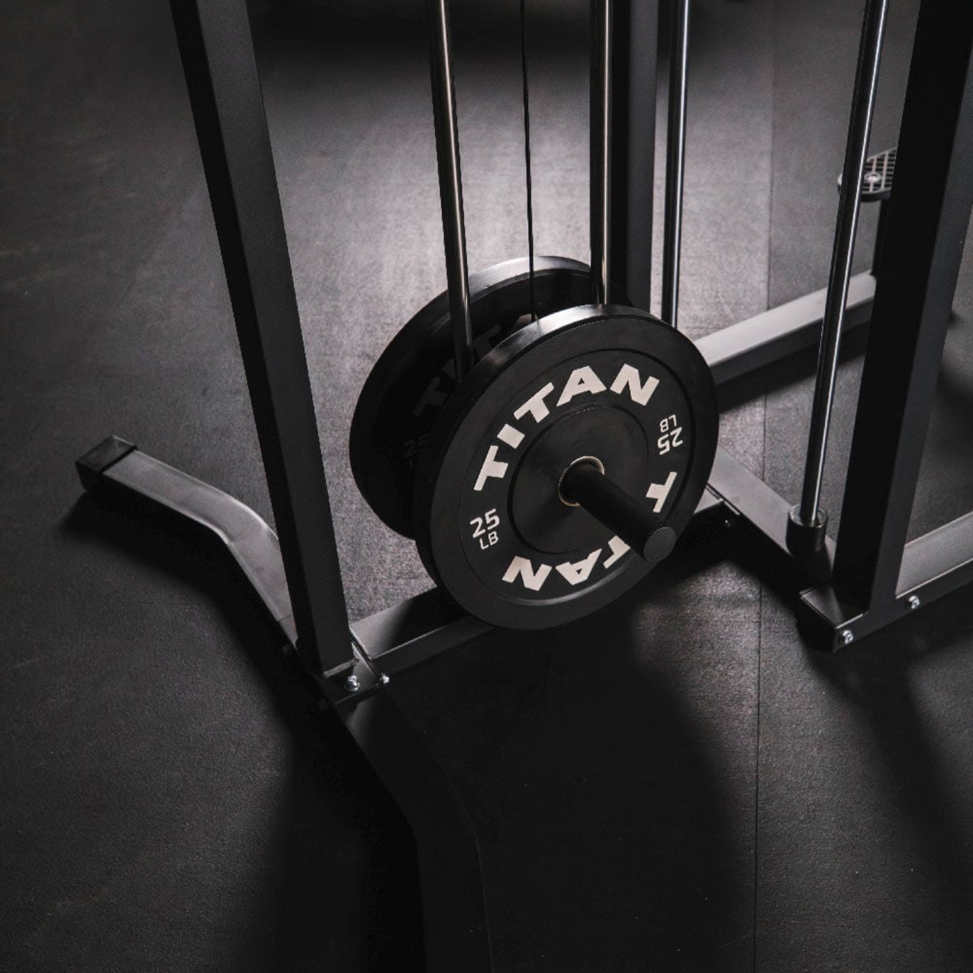 Titan fitness Plate-Loaded Assisted Pull-Up and Dip Machine - 401482